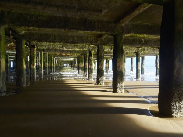 Pier And Beam Leveling in Jackson